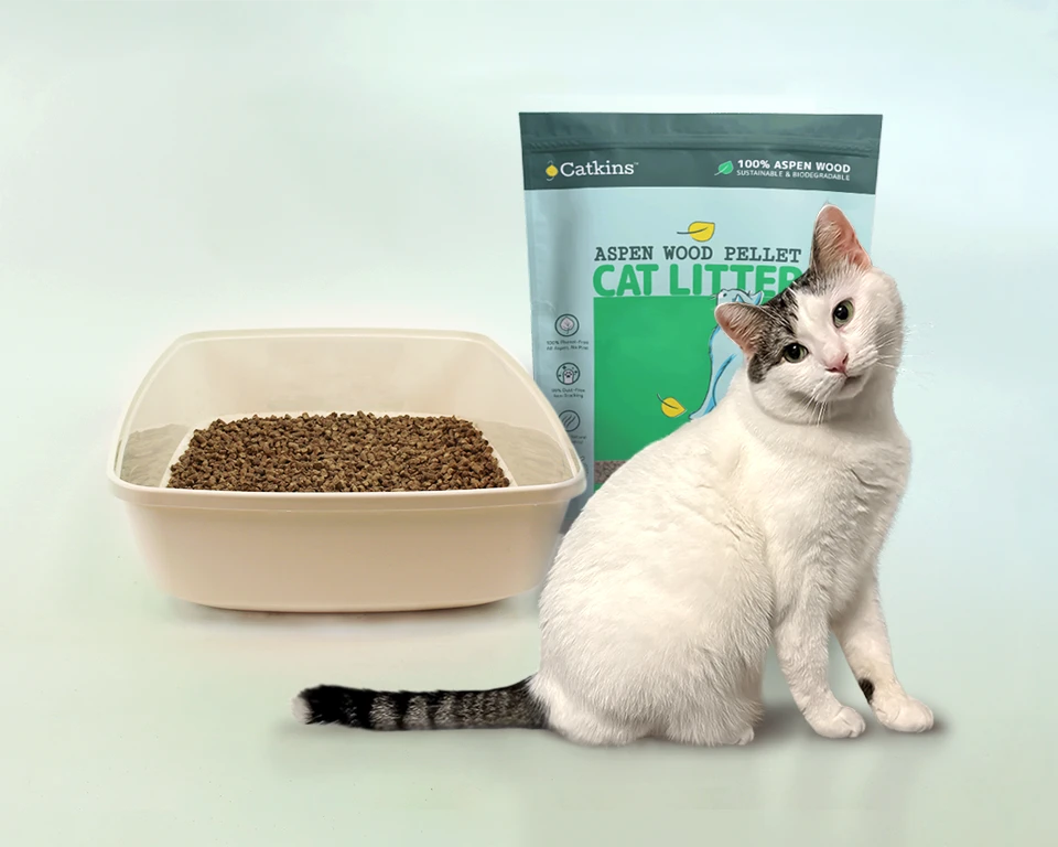Cat sitting in front of a litter box filled with Catkins aspen pellet litter