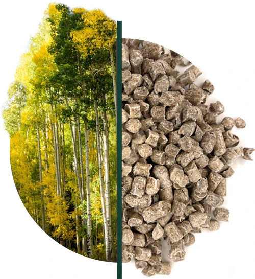 circle image of aspen trees and Catkins aspen pellet litter