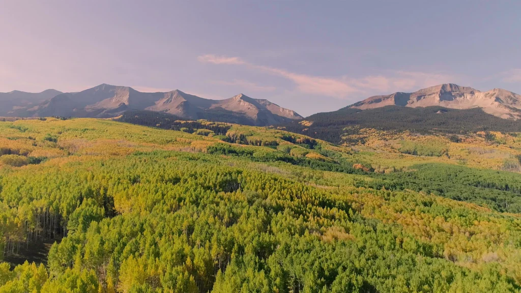 Photo of Colorado mountain range with forest of aspen trees